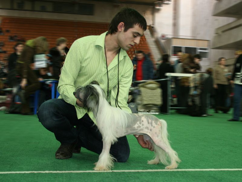 Picture