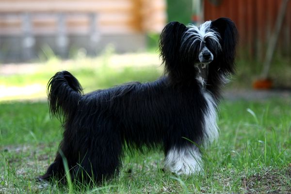 Pinky Twinky Cute As A Kiss