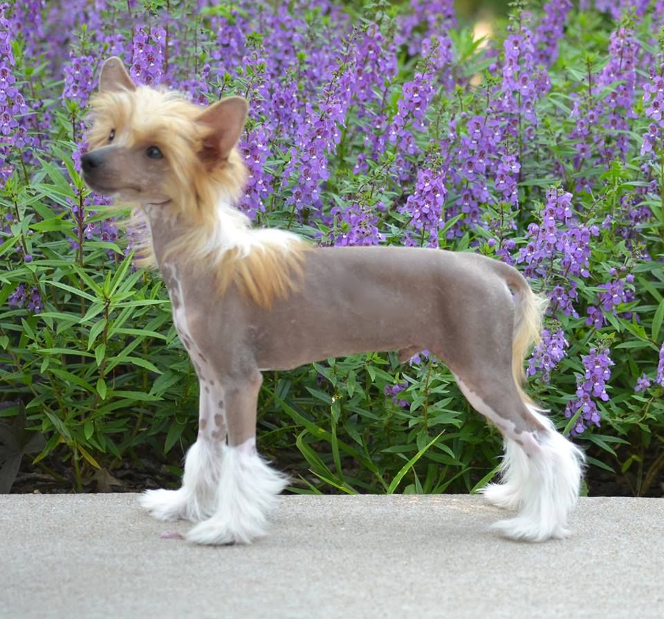 Delende 4-Reil Don't Tell Her It's Me