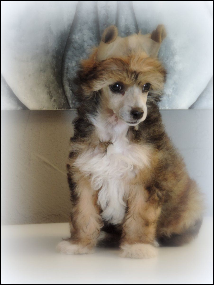 I'm In Silver Clouds Du Coeur Des Tenebres