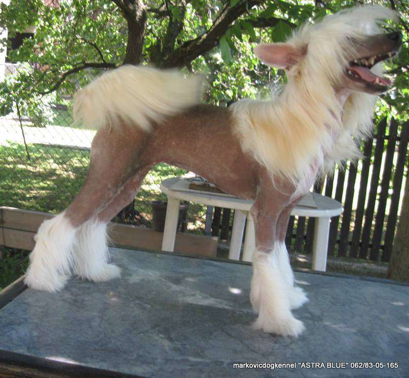 Rina My Shining Star