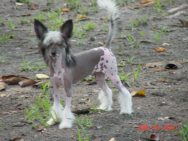 Kalypso's Sea Breeze