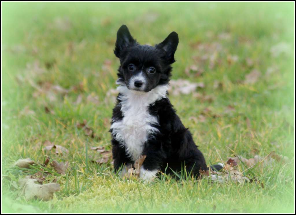 Layla Black Memories Du Coeur Des Tenebres
