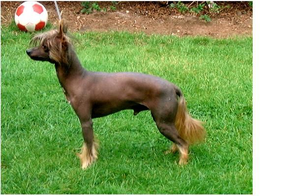 Sasquehanna Dobry Dzien