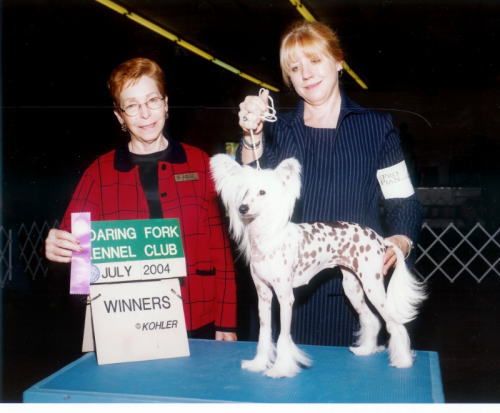 Chars Star Of The Nile D'Ankhu