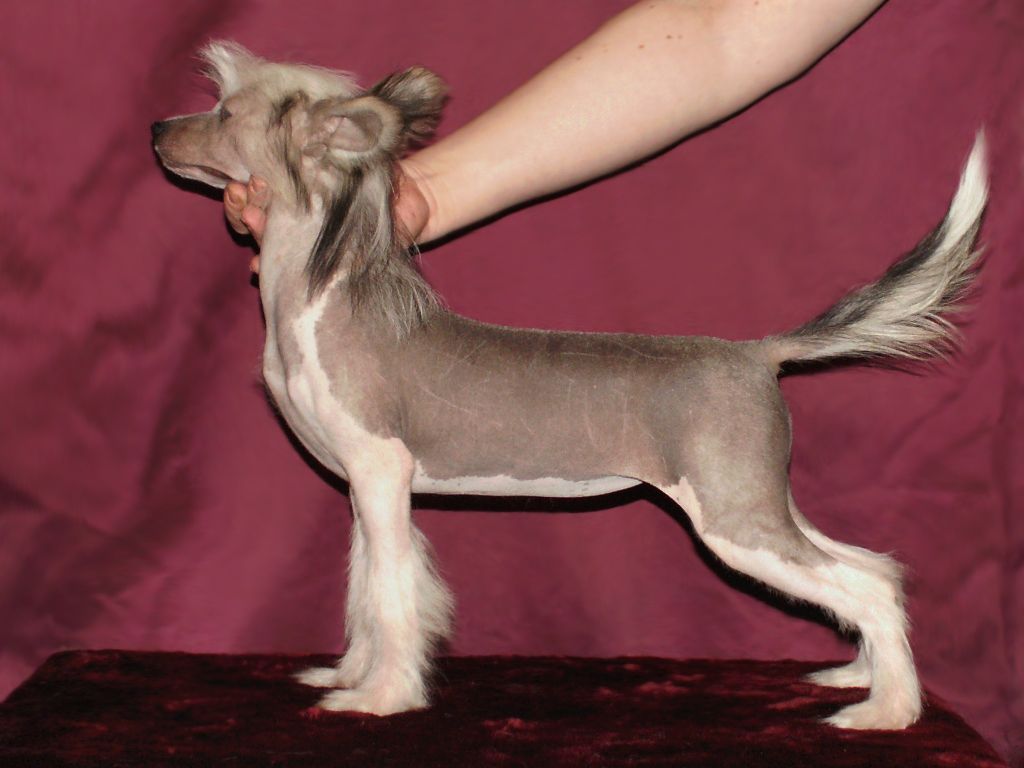 Ofeliya Vozlublennaya