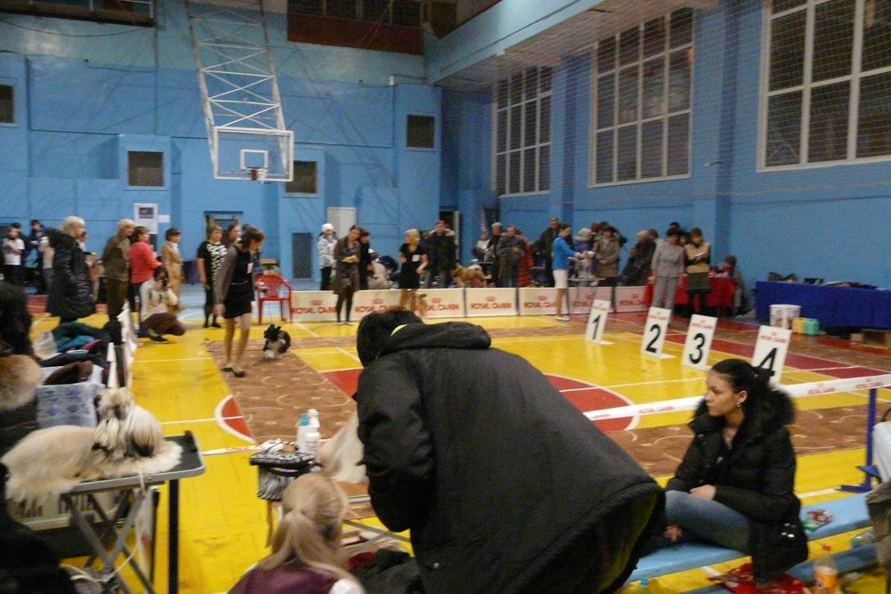 Picture