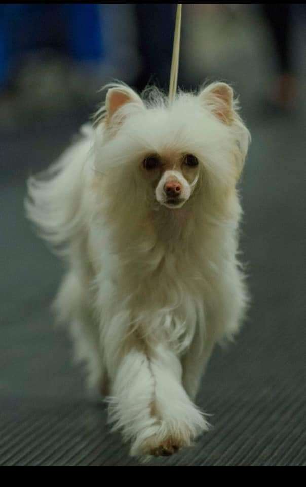 Charkim A Bit Of Sass