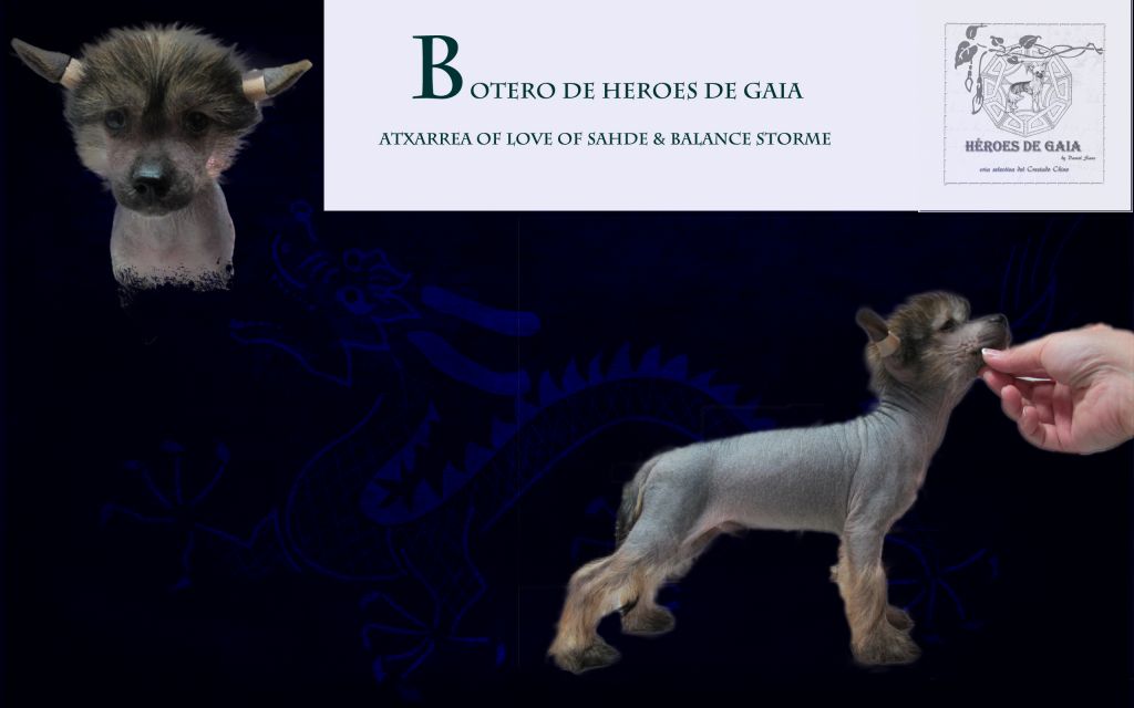 Botero De Heroes De Gaia