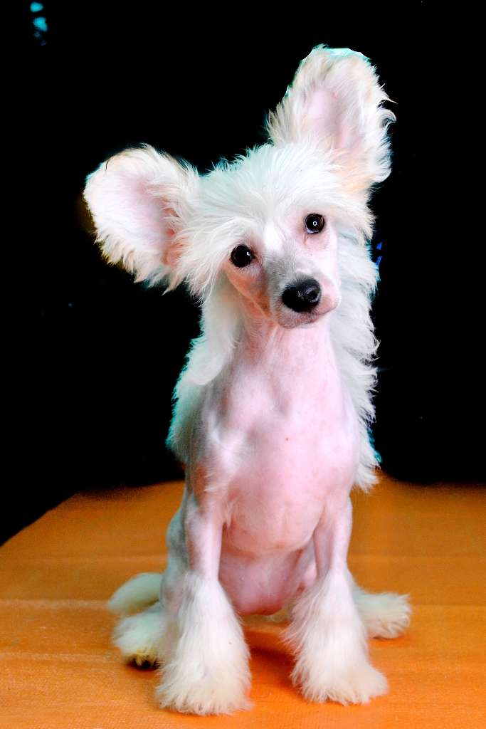 Ksolo Club Yakhmurka