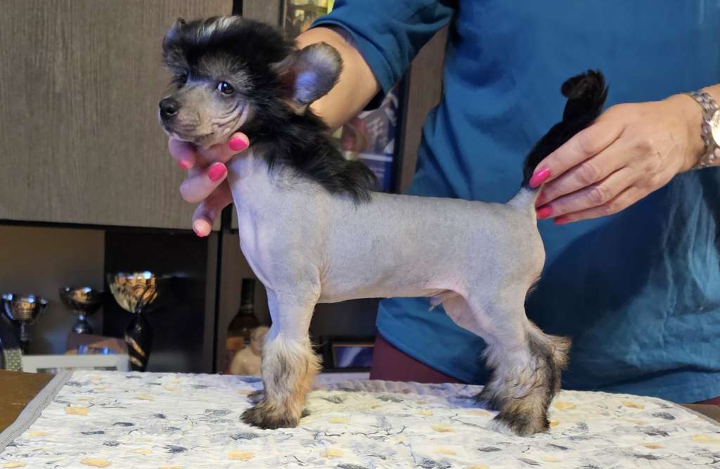 Unique James Avokaduh