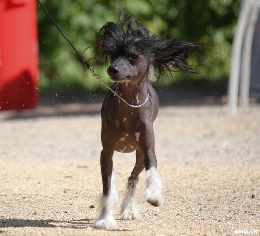 Chattanooga's Flash Of Hope