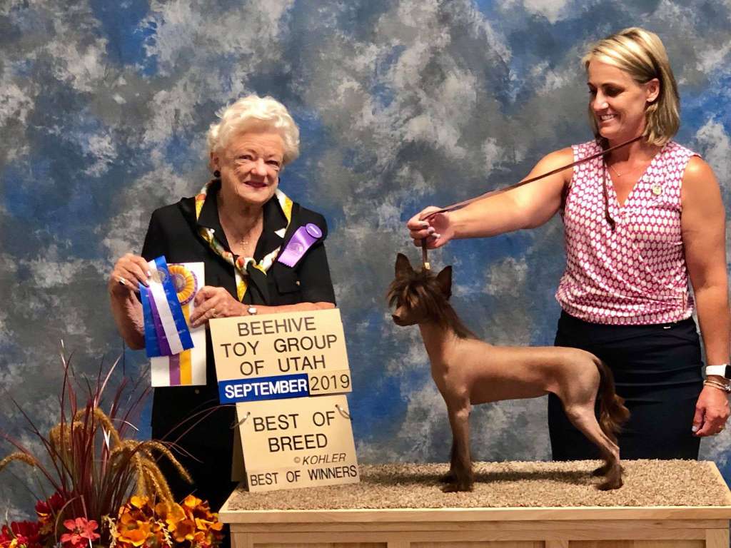 Muso Grazioso Je Taime