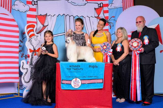 The Lion Lady's Autumn Blaze