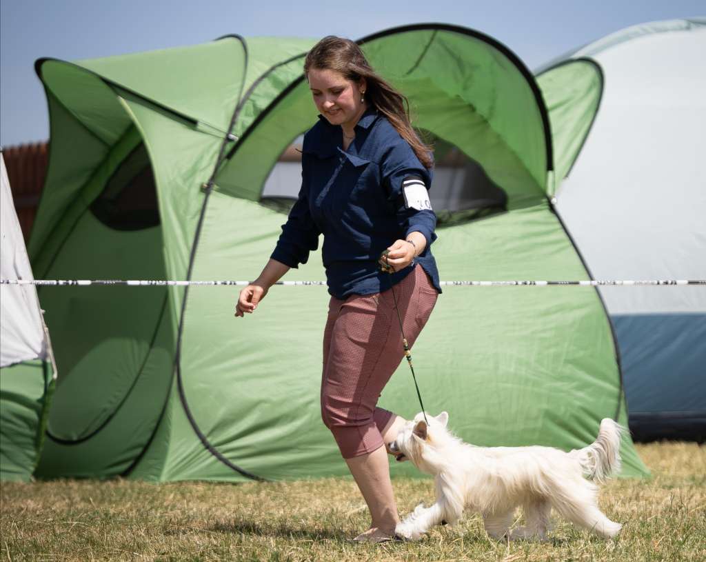 Aiumi Ciotola Piena Fci