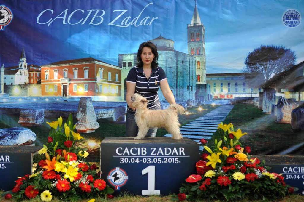 Picture