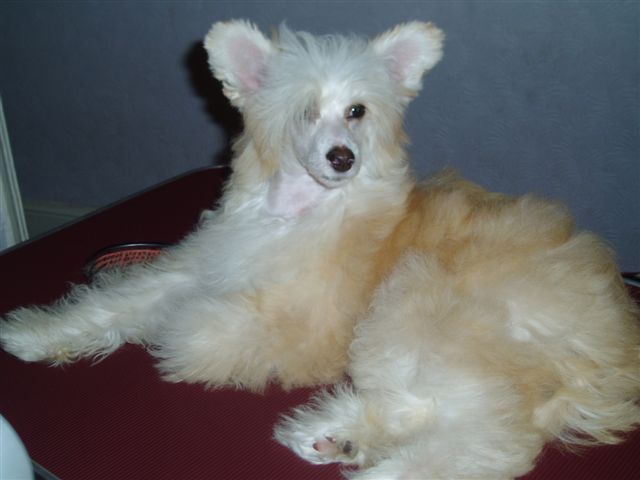 Picture