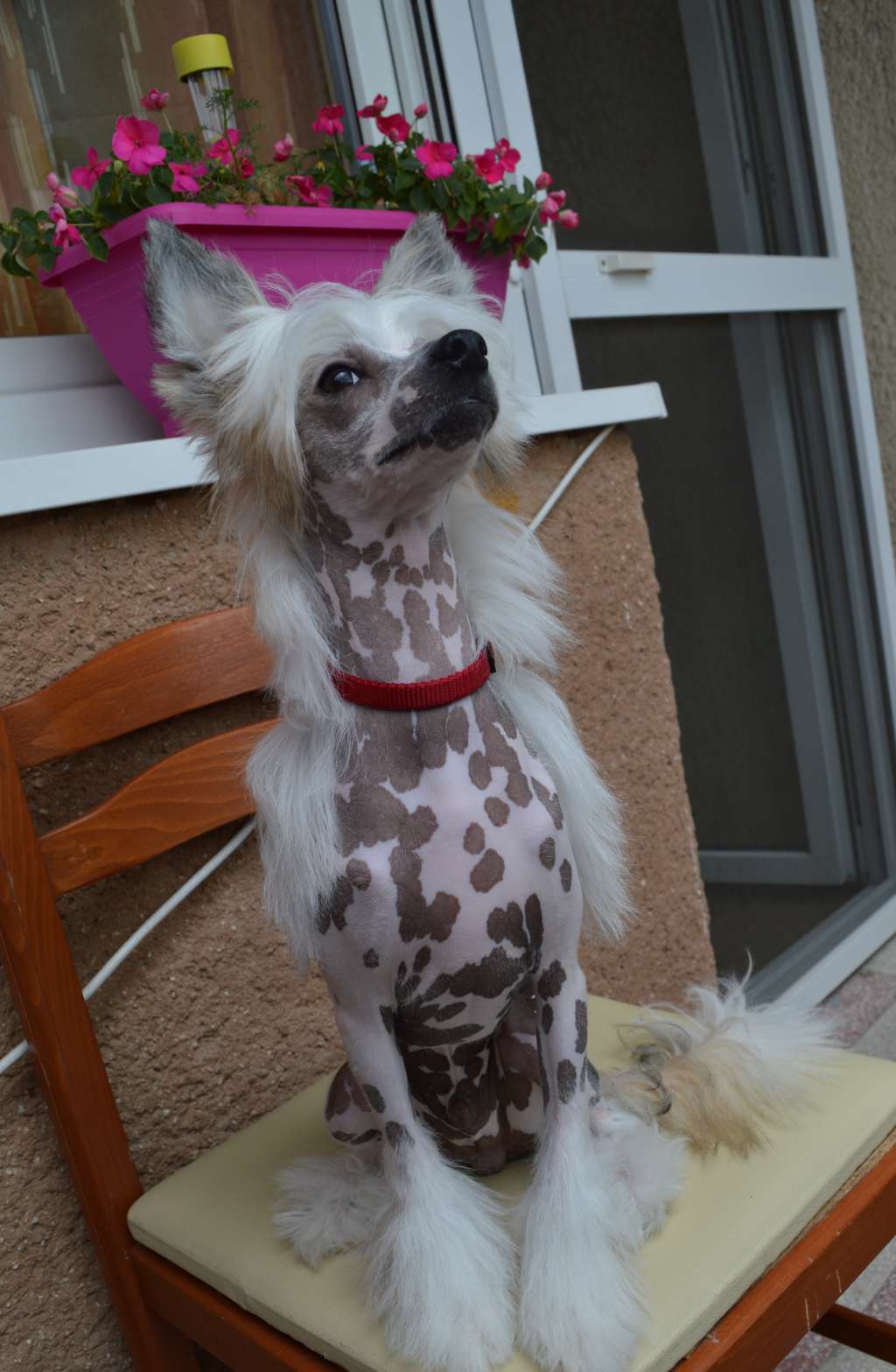 James Arthur Di Rabozi