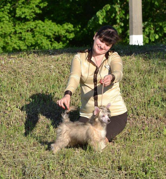 Partizan ot Volnogo Psa