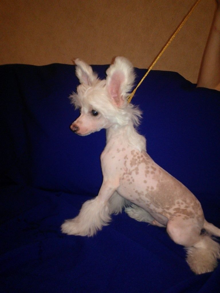 Orero Lovely Kader Touré