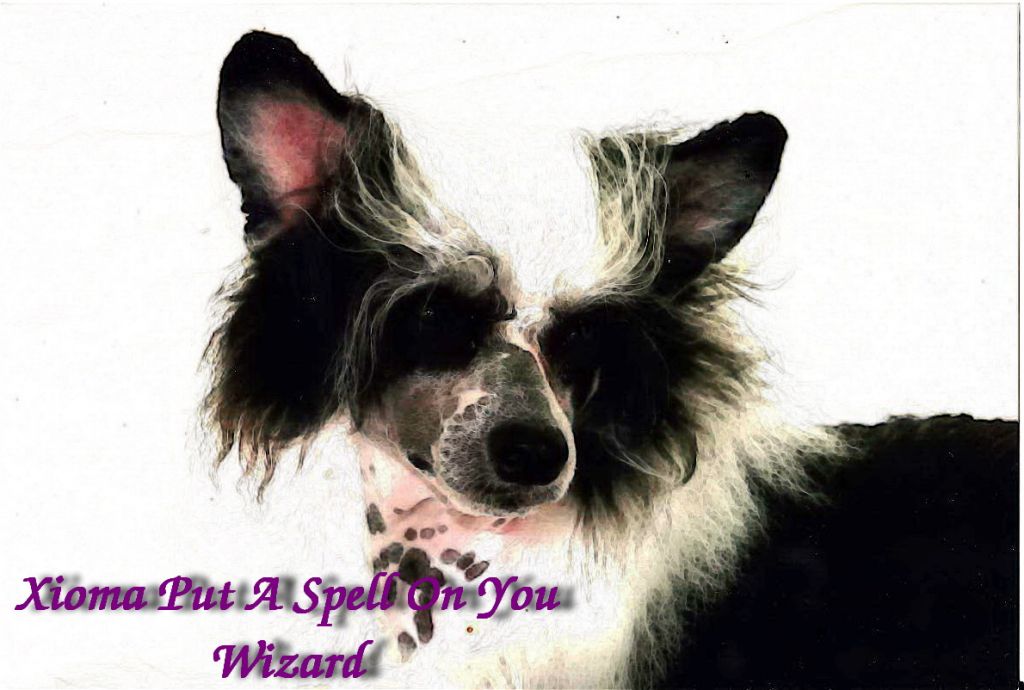 Xioma Put A Spell On You