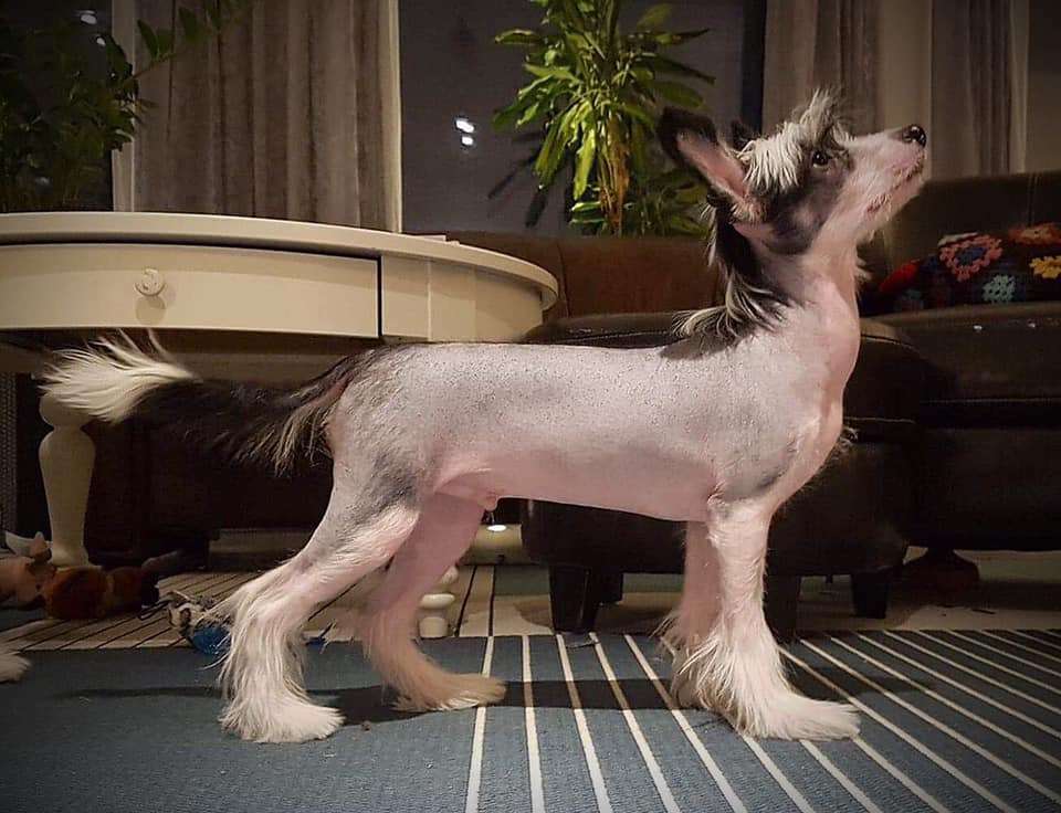 Reject's Nineteen Black Tie Event