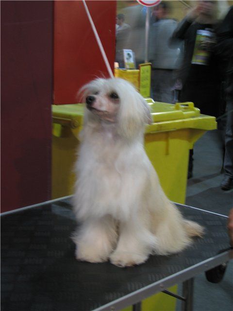 Zholli Fju-Chin Mitau