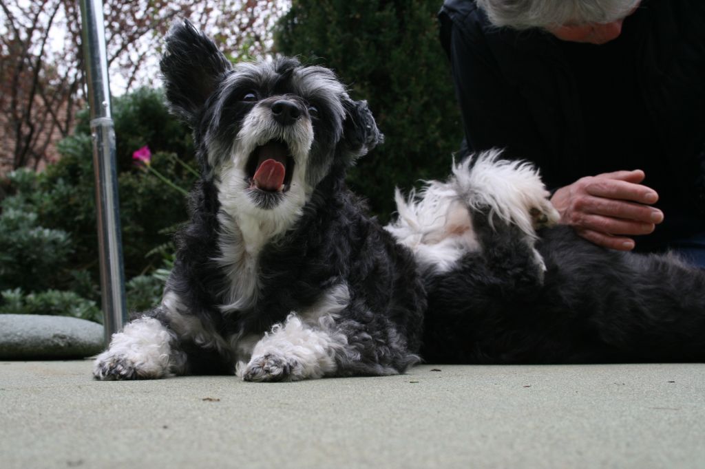 Lowa's Put On A Happy Face