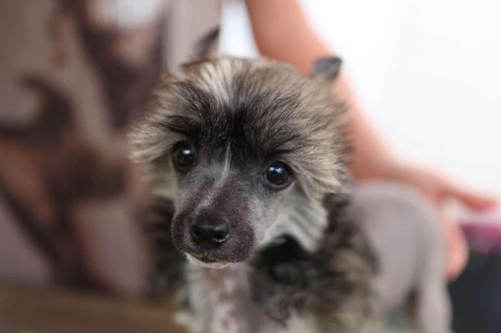 Nakita From China with love