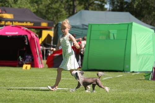 Clezel's Damika Runs For Elyxia