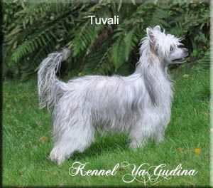 YaGudina's My Beautiful Reward