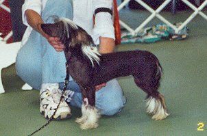 Mohawk Eyes On The Prize