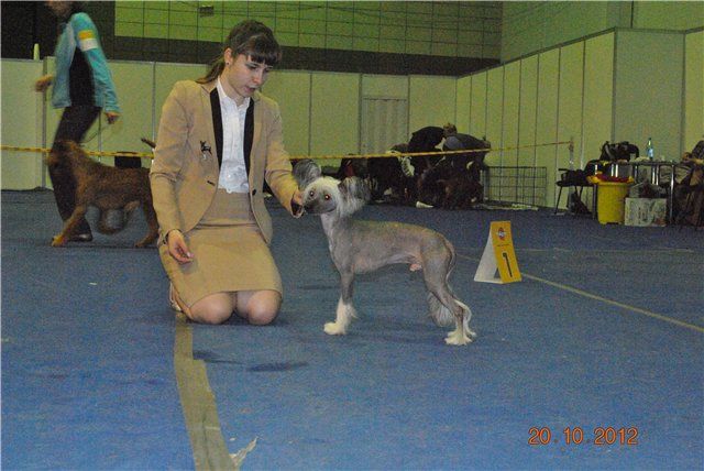 Tanatos   The unique such