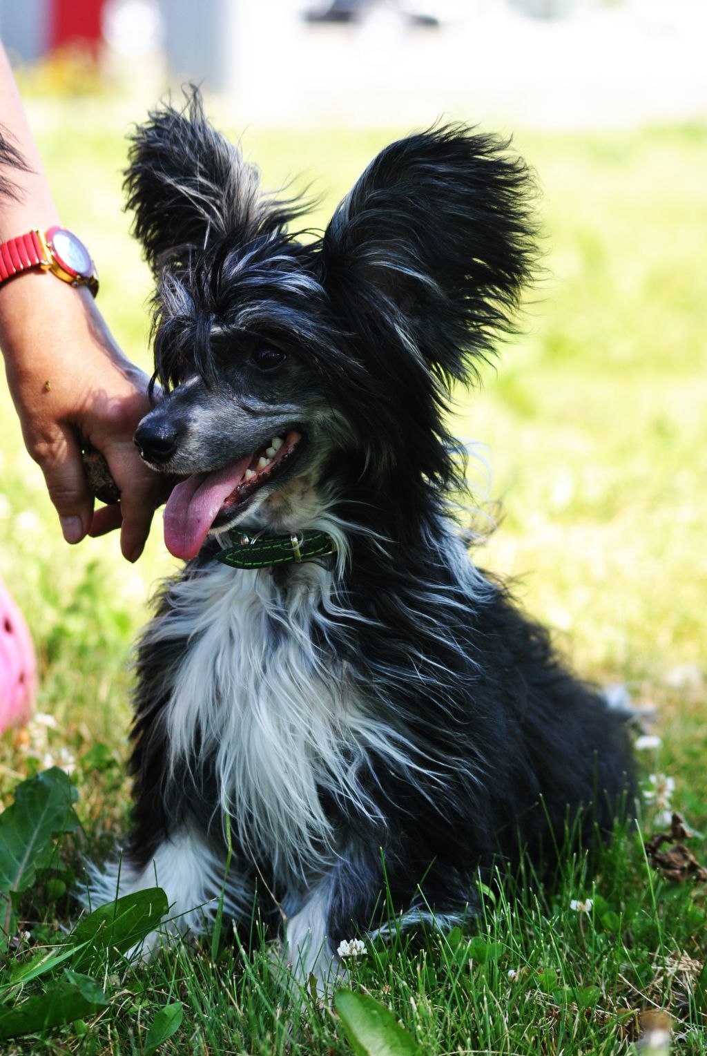 Grand Sunlife Eva Longoriya