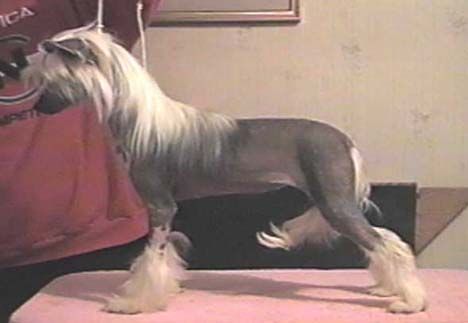 Whispering Ln' Sins Of Desire