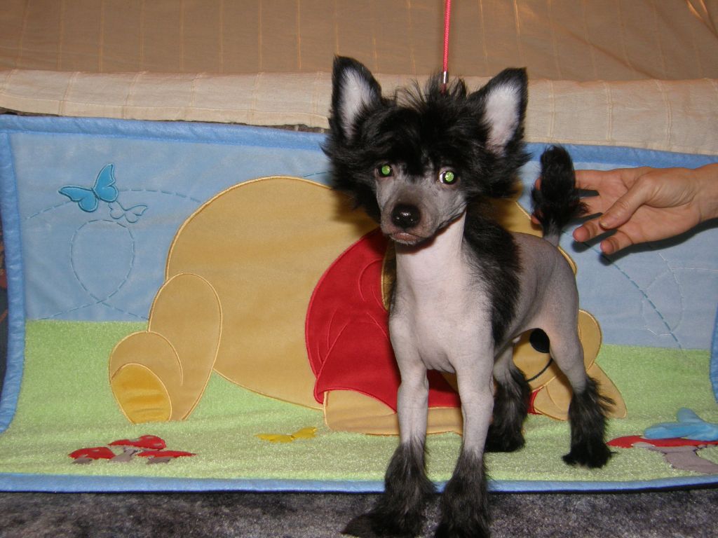 Picture