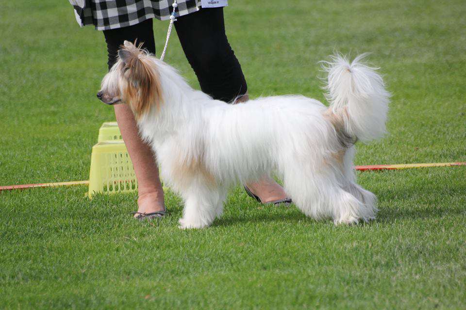 Mystic Jewel Sweet Valentine