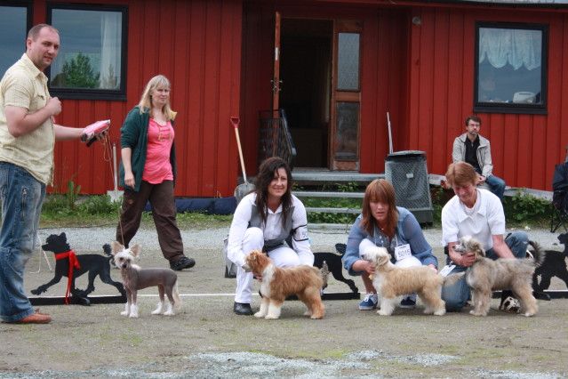 Casa Del Caboom's License to Win