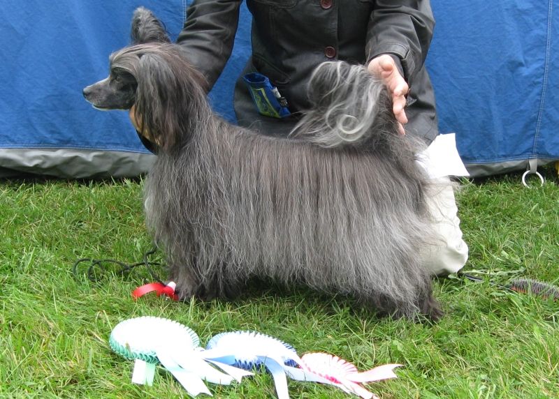 Kuminaaman Hennessy Paradis