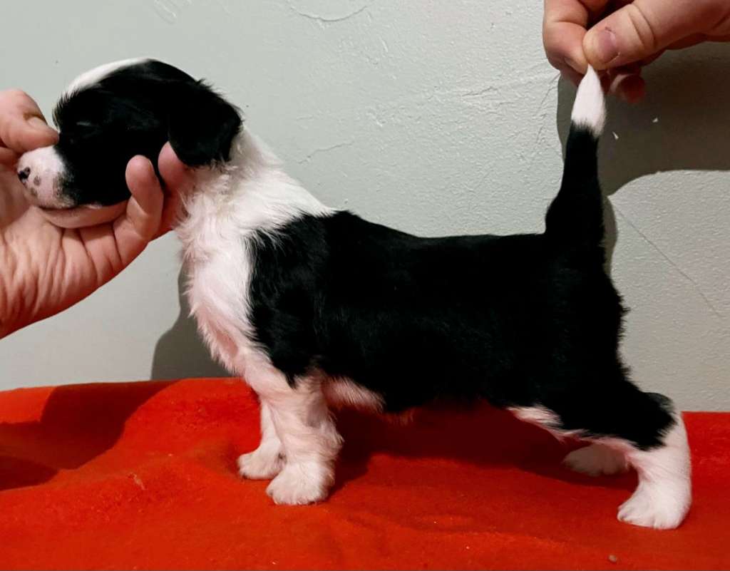 Concrete Clouds Coney Island