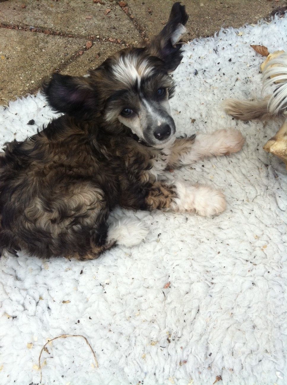 Konishiki One for the Road