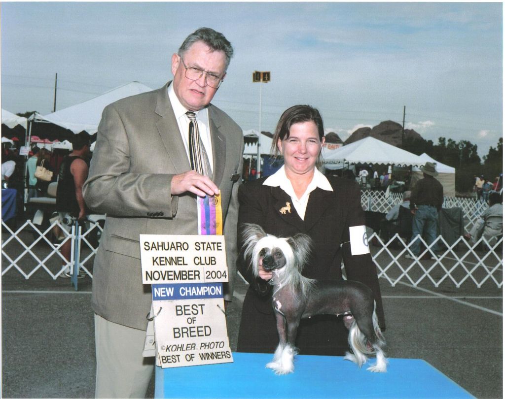 Babylon Brilliant Coatlicue