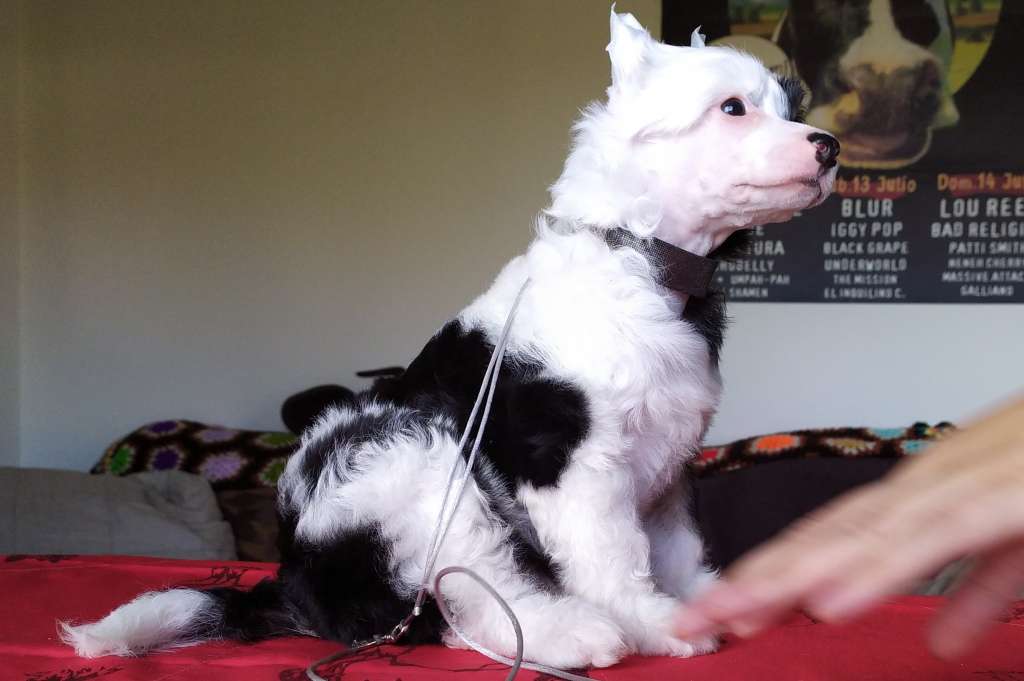 In Hoc Signo Vinces Della Castafiore