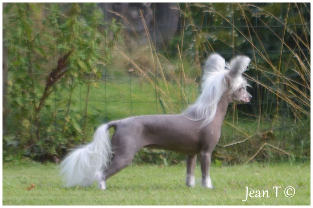 Only The Best Dreams For The Future