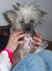 Splfyr Thunder Cloud