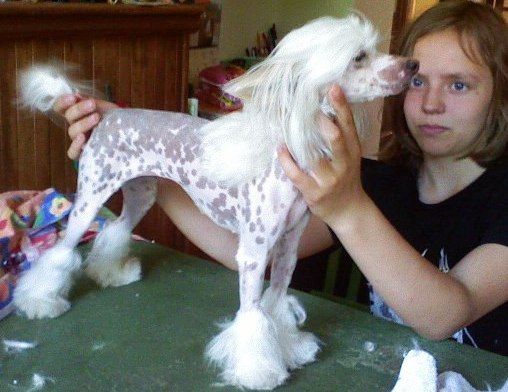 Aisha z Andelovy dlane