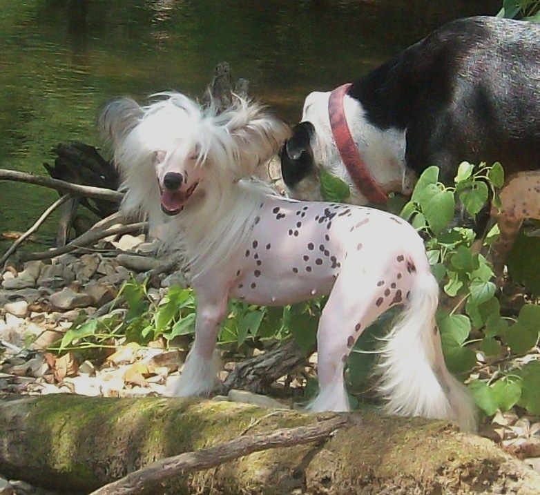 Xpozures Beautiful Miracle