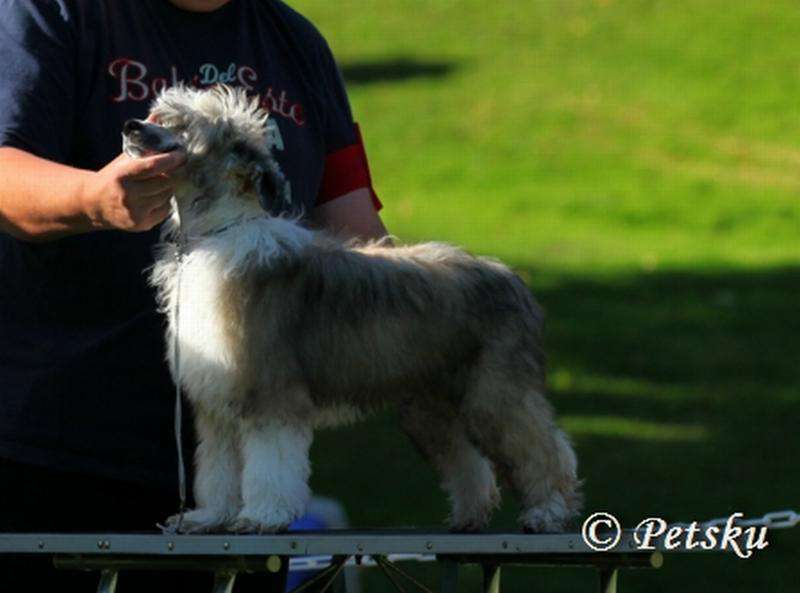 Zodellin Everybody Wants You