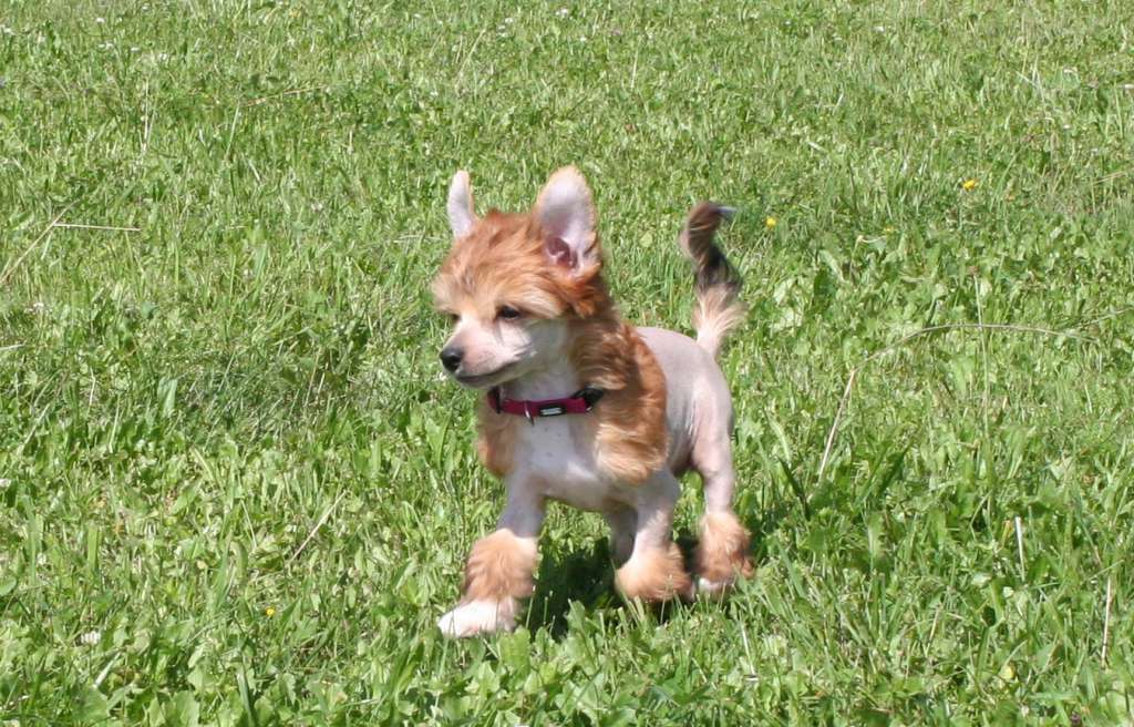 All My Love Choose The Joy