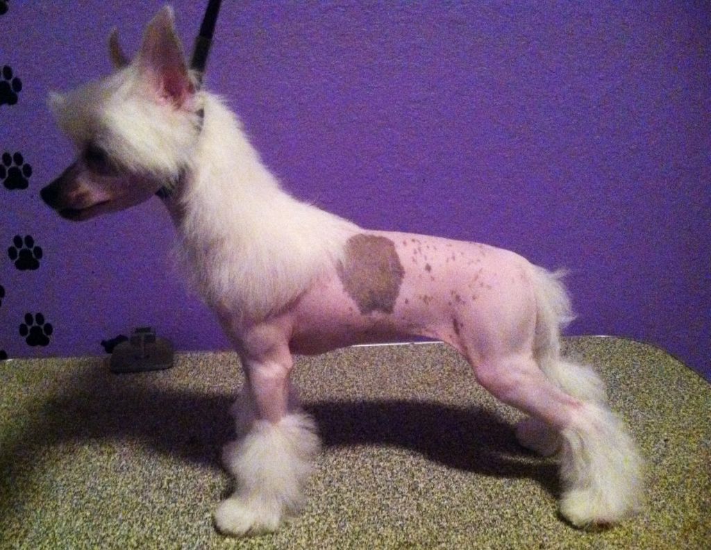 Gracieux Sophie Of Edentide